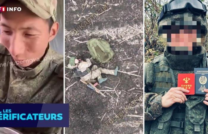 CHECK – Nordkoreanische Soldaten in Russland: Was wir über die Bilder wissen, die ihre Anwesenheit beweisen