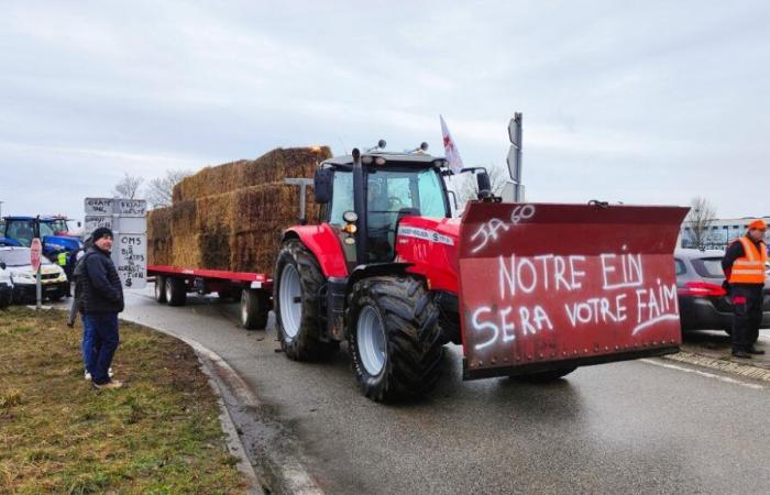 Oise-Bauern werden am Montag, 18. November, in Beauvais demonstrieren