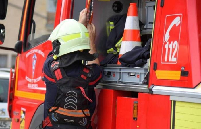 Etwa dreißig Feuerwehrleute waren im Einsatz