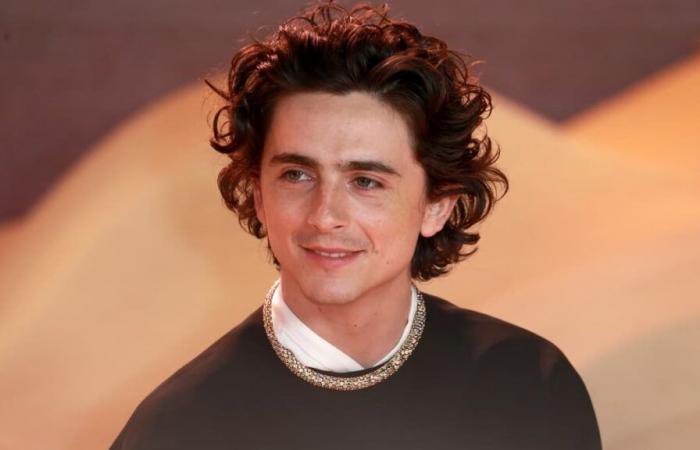 Timothée Chalamet gibt zu, Opfer von „Bodyshaming“ geworden zu sein