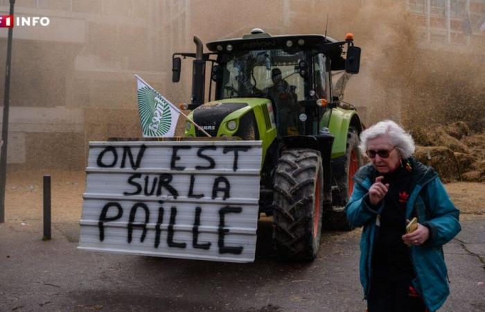 Wütende Bauern: Warum die Mobilisierung fast überall in Frankreich wieder aufgenommen wird