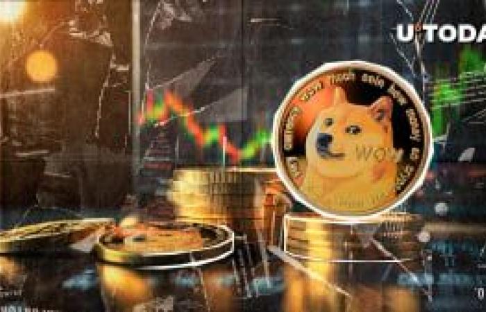 Dogecoin (DOGE) enthüllt derzeit 4 wichtige Überlebenstipps für Anleger