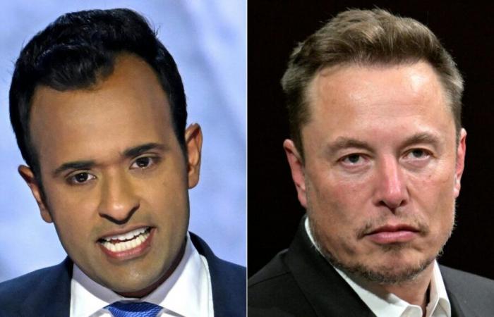 Trump ernennt Elon Musk zum Leiter des sogenannten „DOGE“ mit Vivek Ramaswamy: NPR