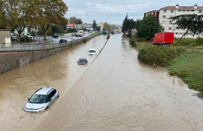 Givors: Léo, dieser Neugeborene, dessen Vorname im Zusammenhang mit den Überschwemmungen gewählt wurde