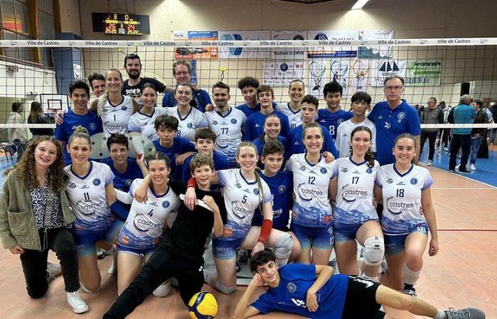 Castres. Volleyball: Die Hornets setzen ihr Fest in Nationale 2 fort