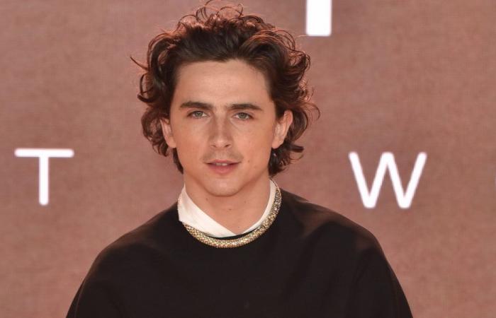 Timothée Chalamet verrät, dass ihm geraten wurde, an Gewicht zuzunehmen, um mehr Rollen zu bekommen