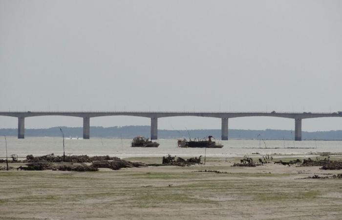 gegen Ende des freien Zugangs zur Oléron-Brücke?