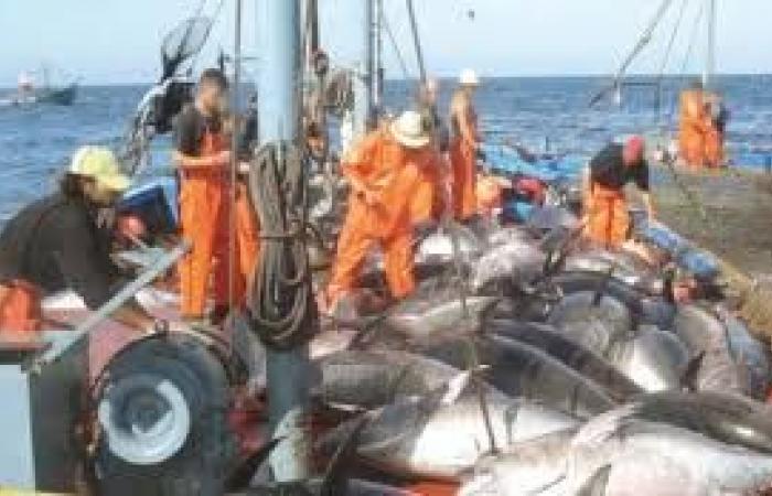 Die Europäische Union beendet das Fischereiprotokoll mit Senegal | APAnews