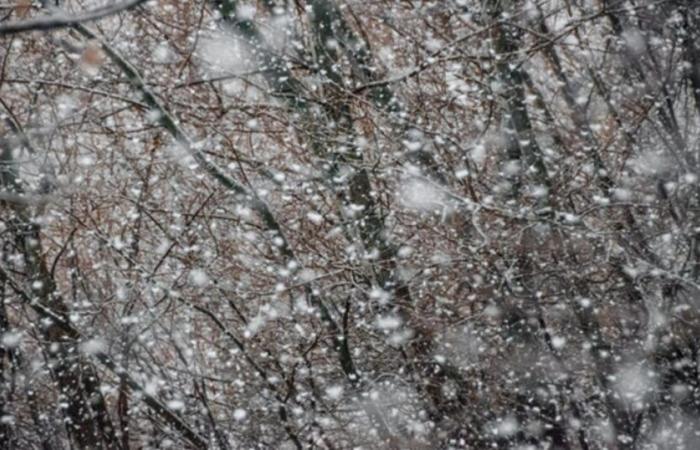 Nächste Woche kehrt der Schnee in die Berge zurück: Was ist zu erwarten?