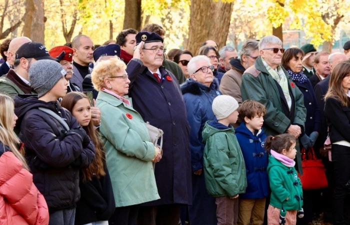 Gedenkfeiern zum 11. November und Gedenktag in Montreal