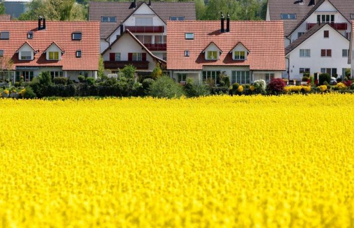 Kompromiss in Sicht, aber Volksabstimmung droht