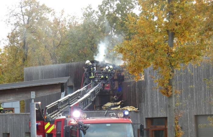 Ein Bürgermeister von Loiret stirbt, Brand in der Gärtnerei, die Friseurin rettet ihren Kunden… Unter den 5 Nachrichten für Dienstag, 12. November in Loiret