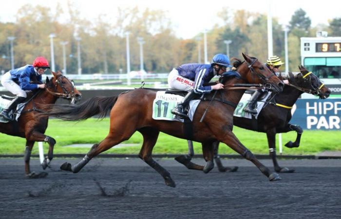 Long Island gewinnt mit Mathieu Mottier diesen Dienstag in Vincennes