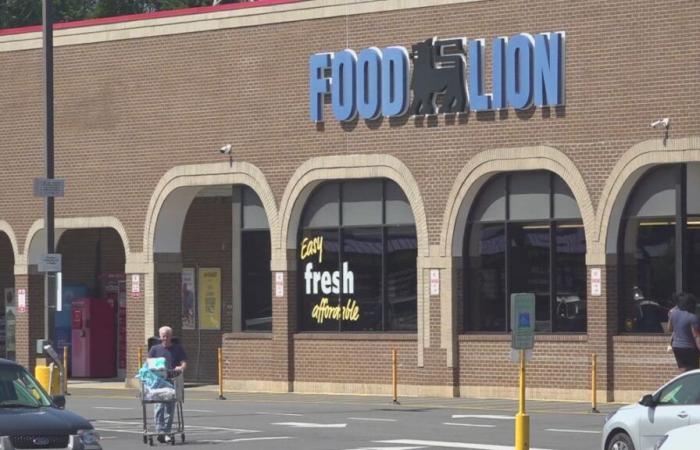 Ein Cyberangriff auf Food Lion führt zum Absturz des Zahlungssystems