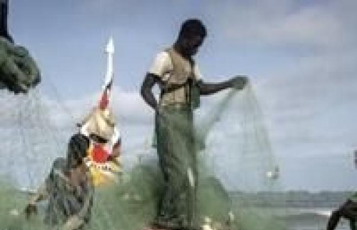 EU-Schiffe stellen den Fischfang im Senegal nach Auslaufen des Abkommens ein | National