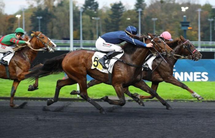 Kaya Dream gewinnt mit knappem Vorsprung den Prix Cénérie Forcinal (Gr.II)