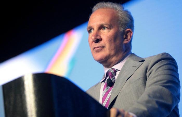 Gold Bug Peter Schiff fordert Händler auf, seine Ordinals inmitten des Anstiegs von Bitcoin zu kaufen