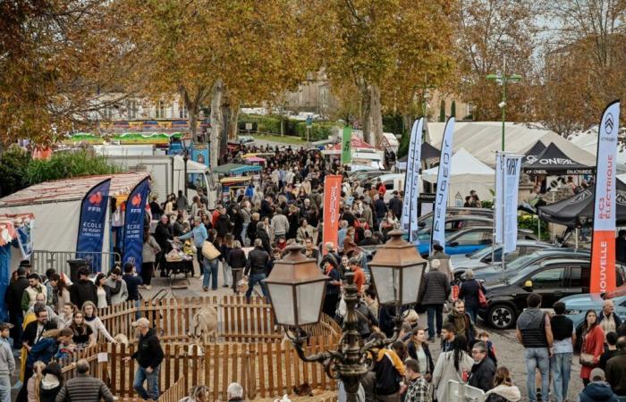 Diese kleine Stadt im Département Gers hat ihre Einwohnerzahl im Laufe eines Wochenendes um das Zwölffache erhöht