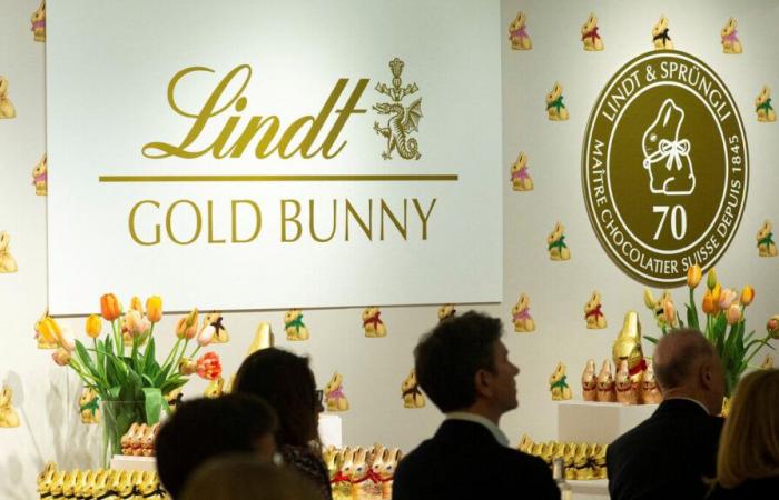 „Übertriebene Werbung“: Lindt-Pralinen sabotieren ihr Qualitätsargument, um einer Klage in den USA zu entgehen