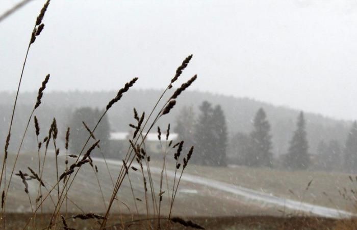 Sinkende Temperaturen in Montpellier, Stürme im Süden, erster Schnee in den Bergen … wie ist das Wetter zu Beginn der Woche?