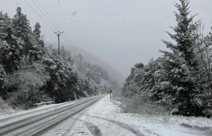 VIDEO. Der erste Schnee kommt in der Provence an, ein weißer Mantel aus 1300 Metern Höhe