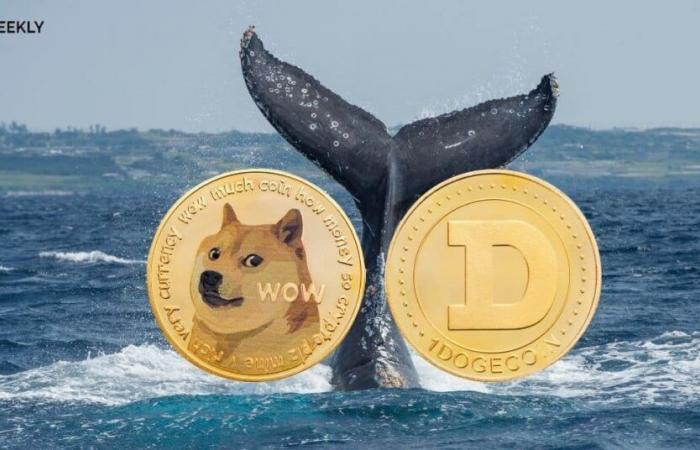 Das explosive Comeback von Dogecoin: 0,41 $ heute, 2,40 $ morgen?