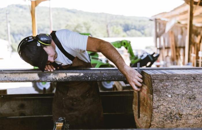 In der Dordogne ein assoziatives Sägewerk für einen lebendigen Wald