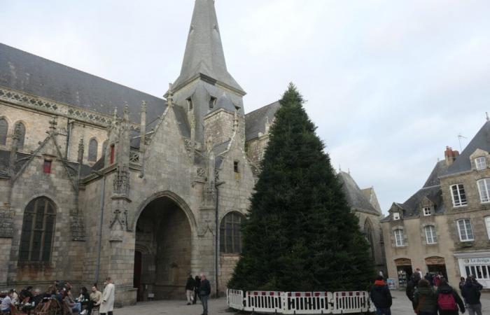 In Guérande steht der riesige Weihnachtsbaum bereits!