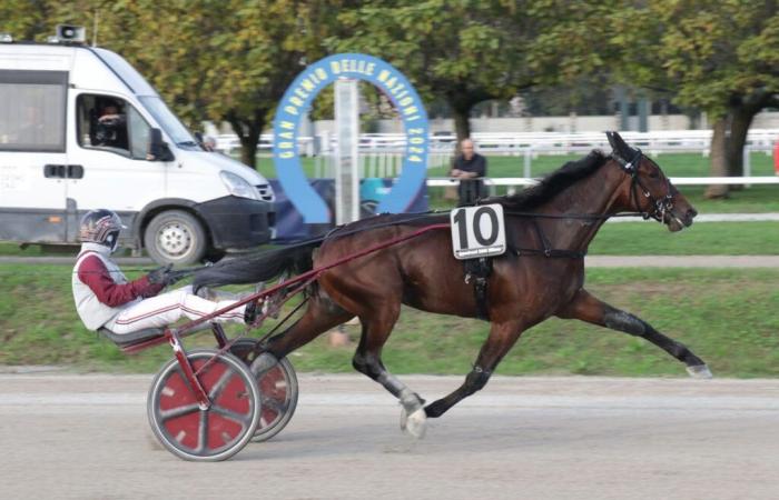 Ginostrabliggi ist Headliner beim Gran Premio Anact in Turin