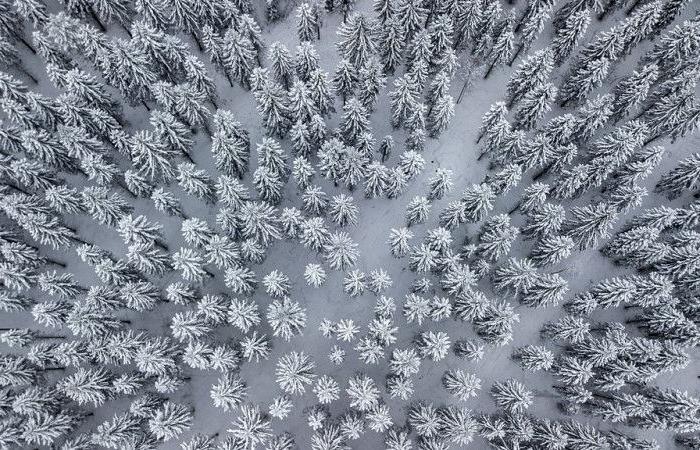 Schneefall auf der Lozère und Regen in der Ebene