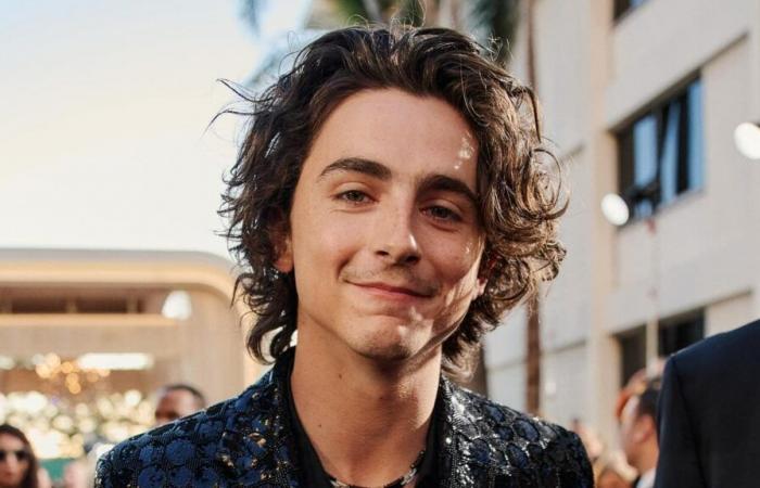 Timothée Chalamet sagt, ein Agent habe ihm geraten, „zuzunehmen“, um bei seinem Debüt erfolgreich zu sein