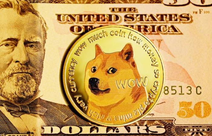 Analysten sagen, dass Dogecoin vor einer weiteren Rally steht, nachdem der größte Meme-Coin in der vergangenen Woche um 93 % gestiegen ist