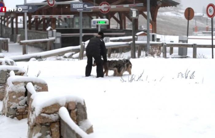 „Es ist immer schön“: Hier in den Hautes-Alpes liegt (endlich) Schnee