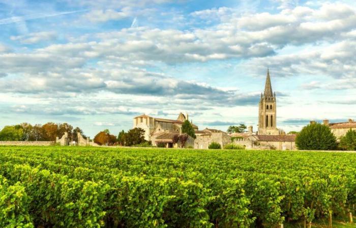 Warum Schaumwein die Weinberge von Bordeaux vor der Flaute bewahren könnte