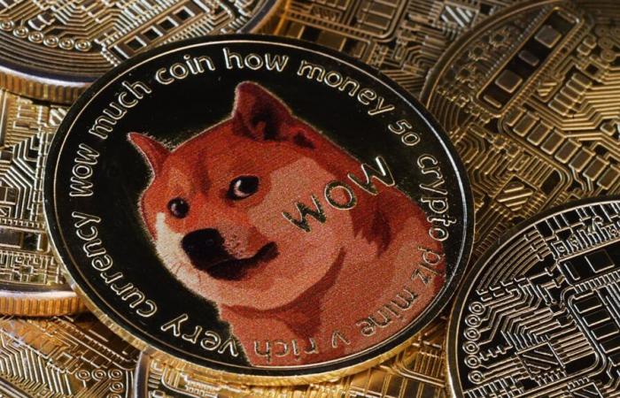 Dogecoin steigt um 20 %, nachdem Trump ein Department of Government Efficiency – DOGE – angekündigt hat