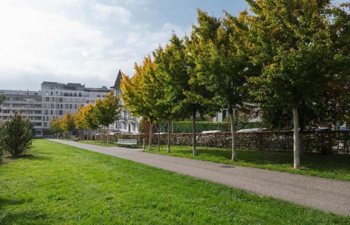 Lausanne: die wunderschönen Überreste der Gärten von Lausanne