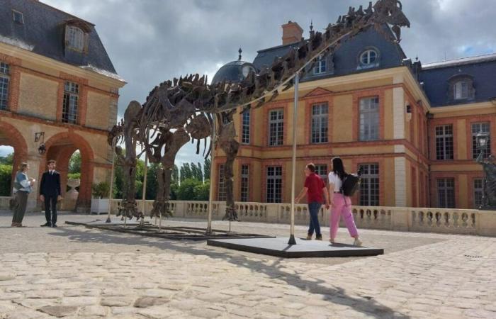 Bald kam die Stunde der Wahrheit für Vulcain: Der riesige Dinosaurier wurde in Dampierre-en-Yvelines versteigert