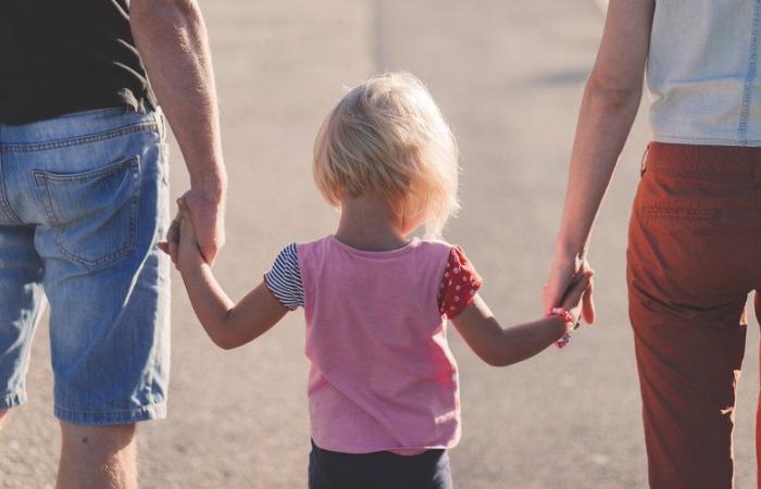 Verteidigung „traditioneller Werte“, Kampf gegen Bevölkerungsrückgang: Russische Abgeordnete verabschieden ein Gesetz, das die Förderung eines Lebens ohne Kinder verbietet