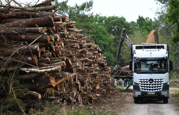 Sturm Ciarán. Welche finanzielle Unterstützung in La Manche?