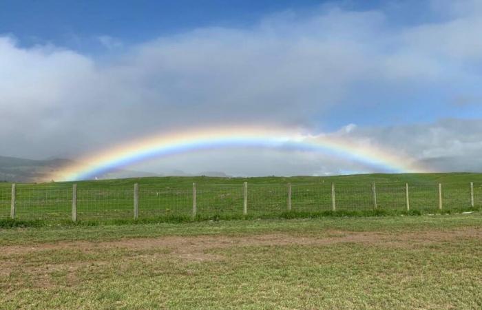 Wettervorhersage für Hawaii County für den 13. November 2024: Big Island jetzt