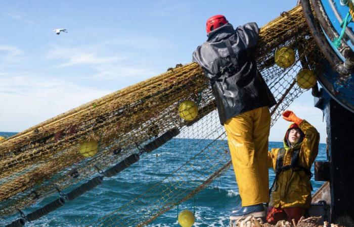 Ist nachhaltiger Fischfang noch möglich? – Befreiung