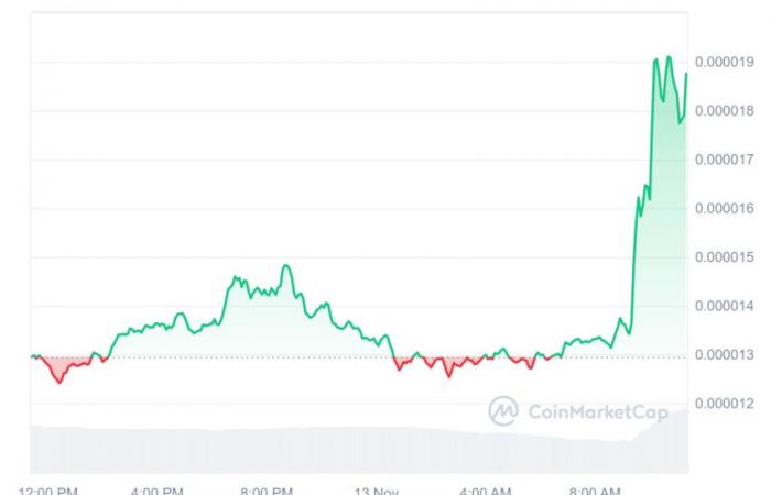 Ein Altcoin gewinnt an einem Tag um 270 %!