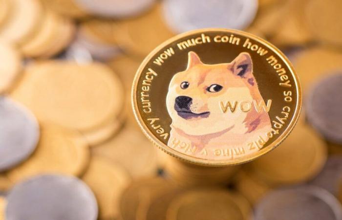 Dogecoin (DOGE)-Preisvorhersage 2024, 2025, 2026 und 2030 – Forbes Advisor INDIA