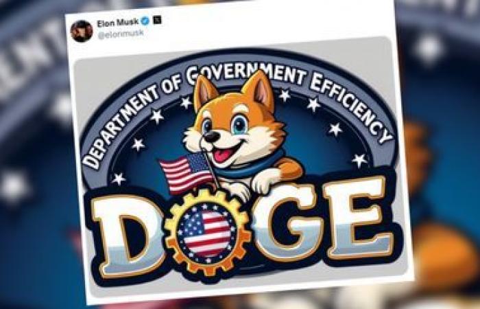 die kleine Geschichte hinter Doge, Elon Musks neuem Ministerium