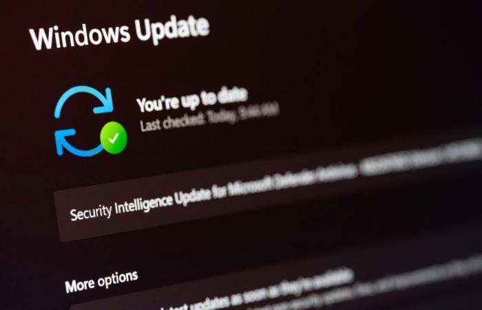 Windows 11 24H2 verfügbar, Ende der Update-Sperren