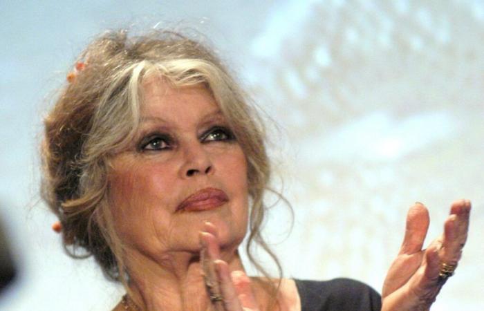 Viermal verheiratet, spricht Brigitte Bardot über ihr Liebesleben: „Ich habe noch nie…“