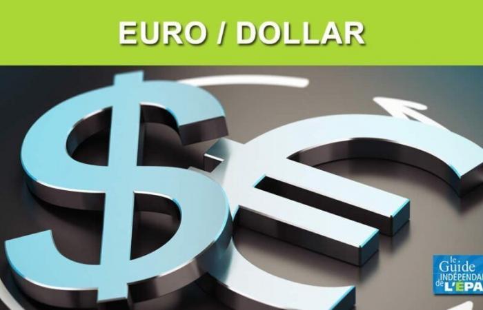 Die Rückkehr zur Euro/Dollar-Parität (1 Euro = 1 Dollar) wird für Anfang 2025 erwartet