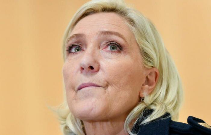 Sperre und Gefängnisstrafe gegen Marine Le Pen gefordert