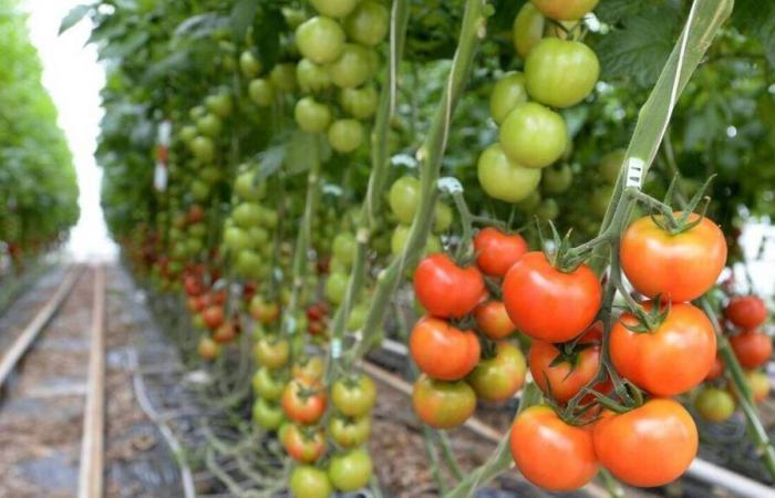 Die Präfektur Manche stoppt das Erweiterungsprojekt