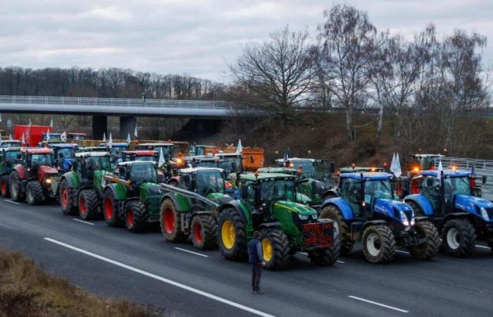 Die FNSEA startet einen Aufruf zur nationalen Mobilisierung „ab Montag“